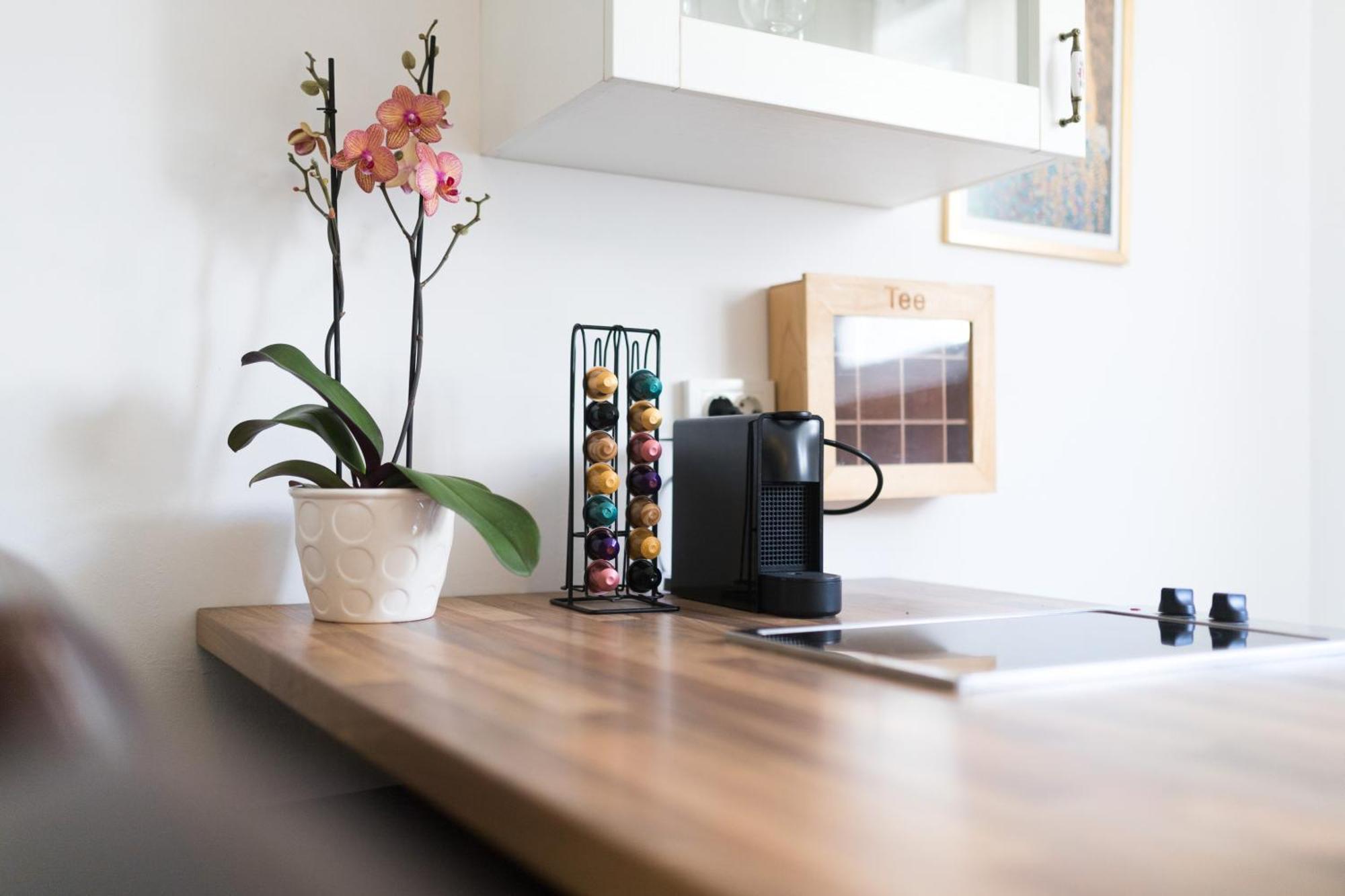 זאדאר M&A Apartments מראה חיצוני תמונה